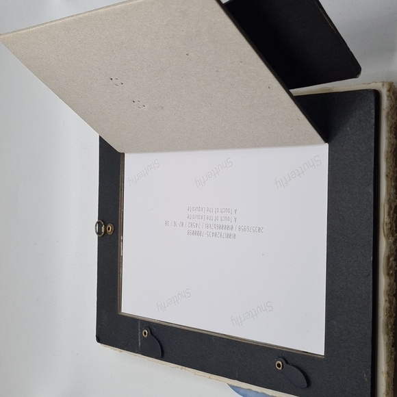 Framed Dolphin at Sunset‎ Colorful  Watercolor Oil Painting Art Print - Picture 10 of 11